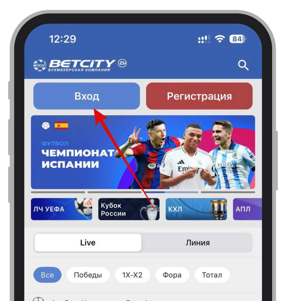 Иконка входа в приложении