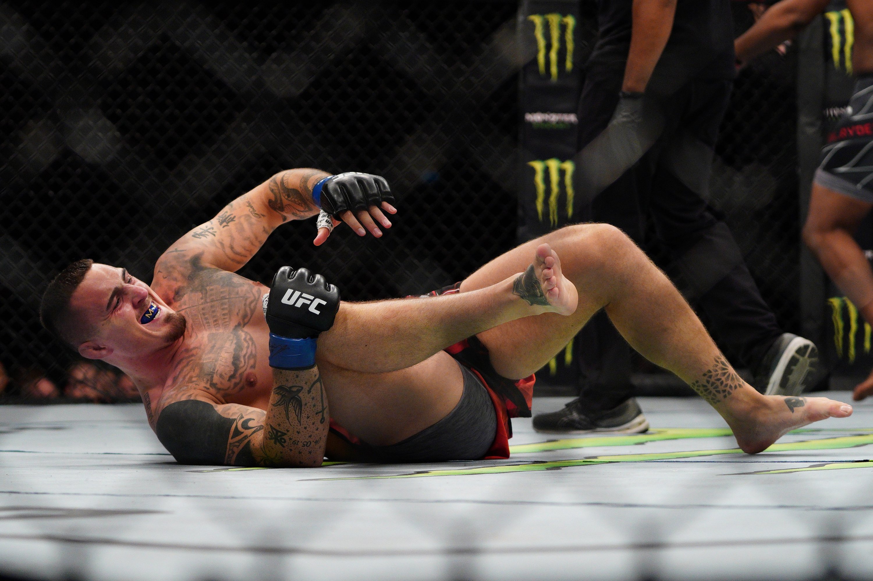 Дарья Пахомова: «У каждого есть пробелы». Павлович — о слабых сторонах чемпиона UFC Аспиналла.