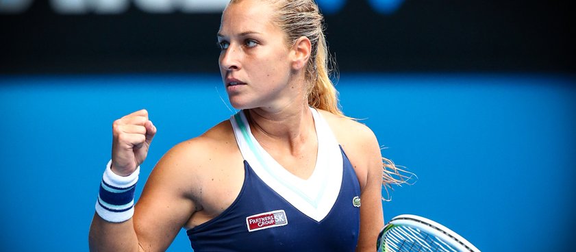 Теннис. Доминика Цибулкова - Елена Веснина. Прогноз Владимира Чаплыгина