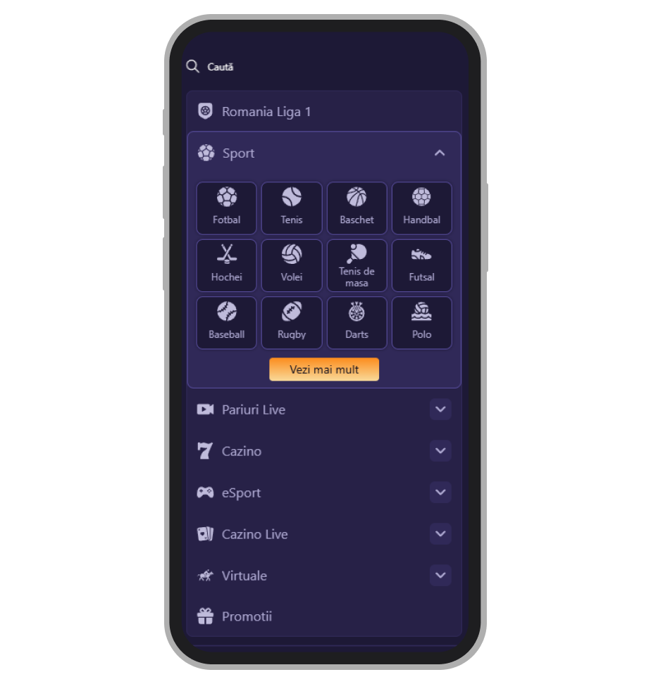 Cele mai populare sporturi din oferta VipBet