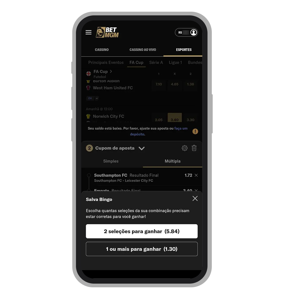 Salva Bingo no app da BetMGM