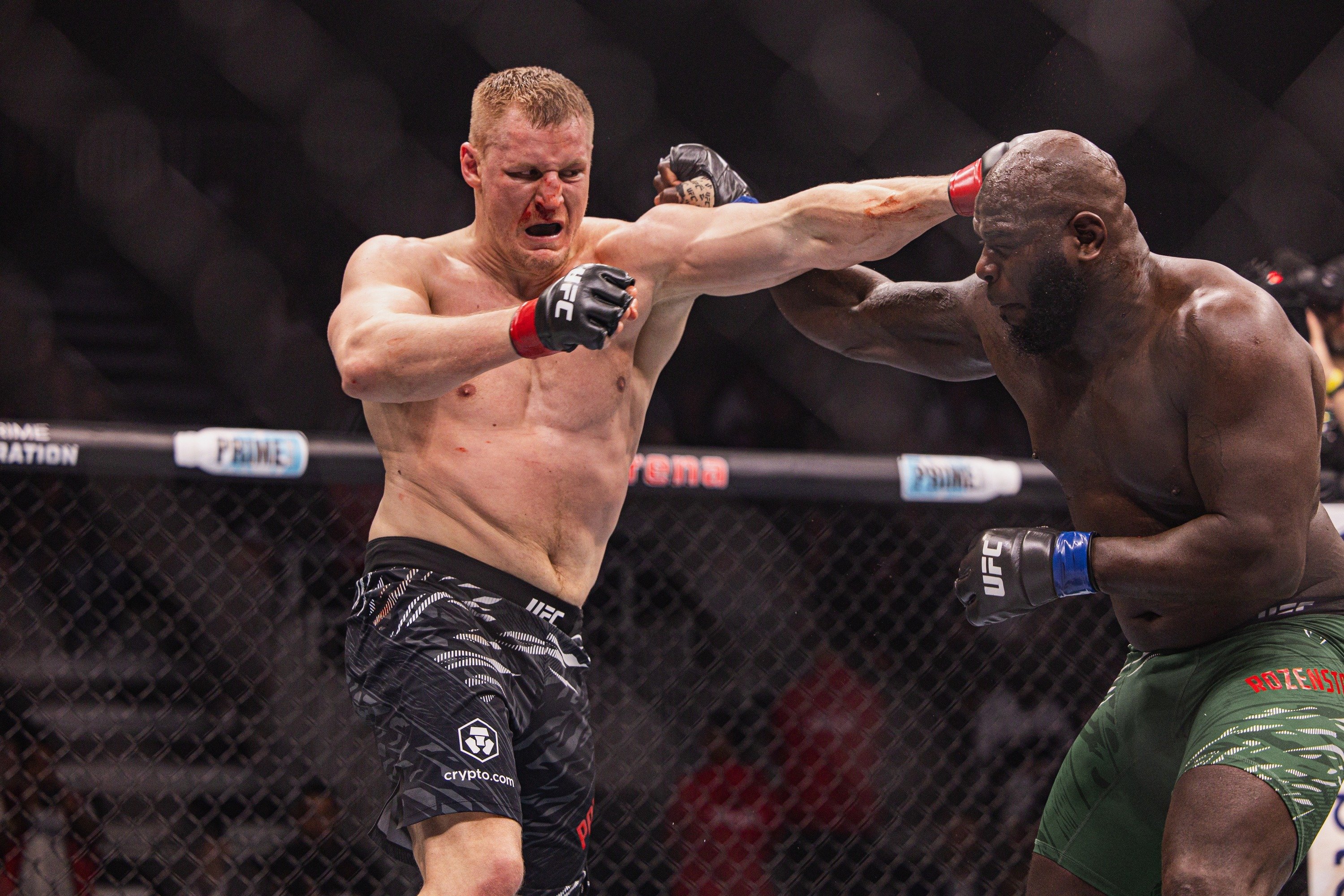 павлович кортес-акоста прогноз