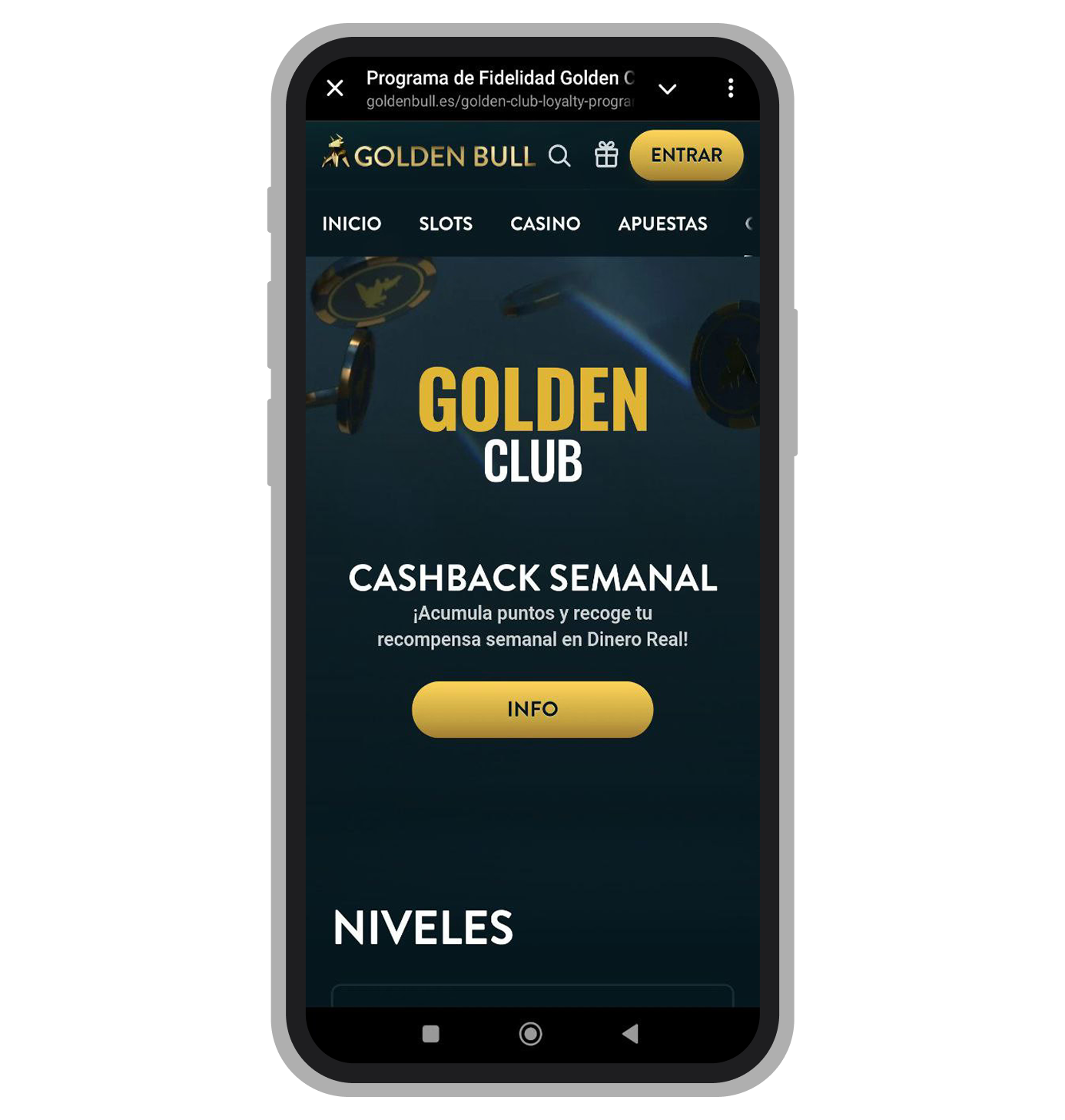 Golden Bull