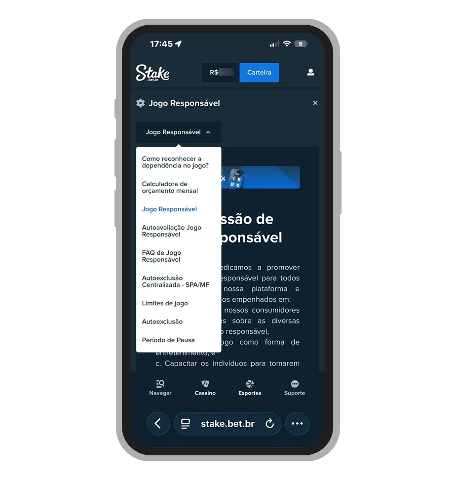 Painel de Jogo Responsável da Stake com opções de limites de depósito, perda e autoexclusão