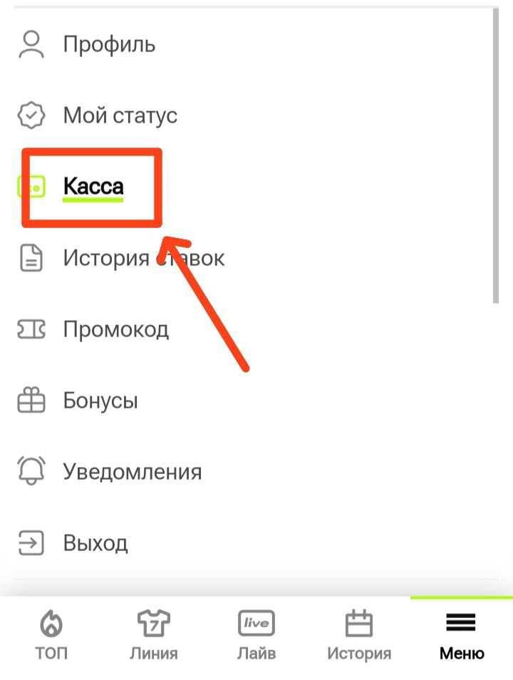 Раздел «Касса» в личном кабинете