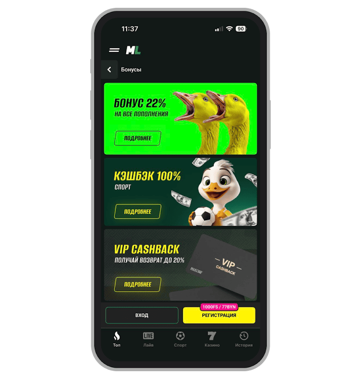 Раздел Maxline