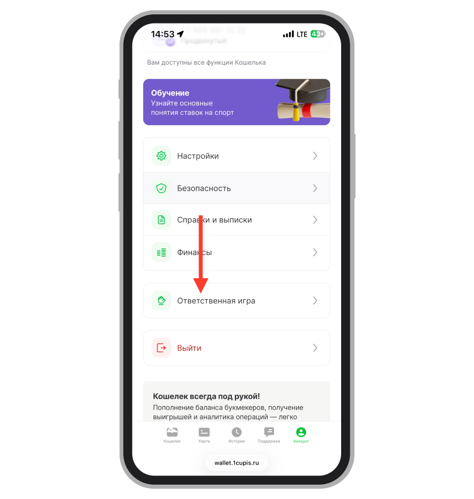 Кнопка «Ответственная игра»