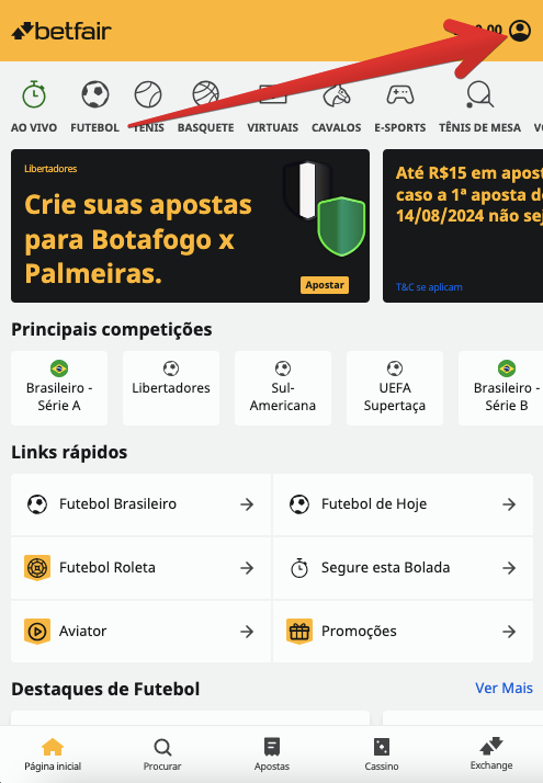 Acesse sua conta de jogo