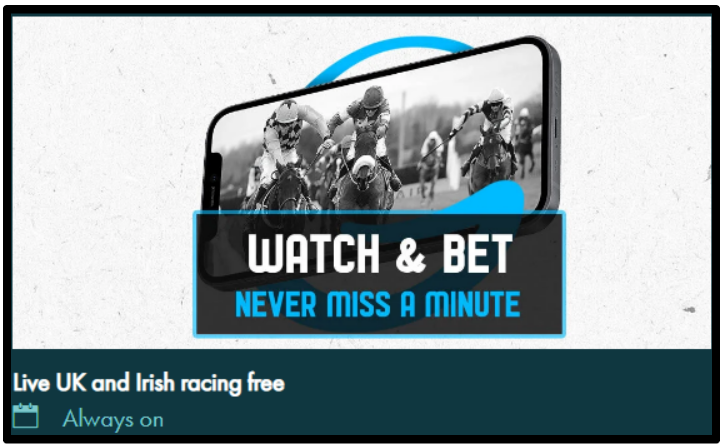 The Watch and Bet feature allows you to play all UK greyhound and horse races.
