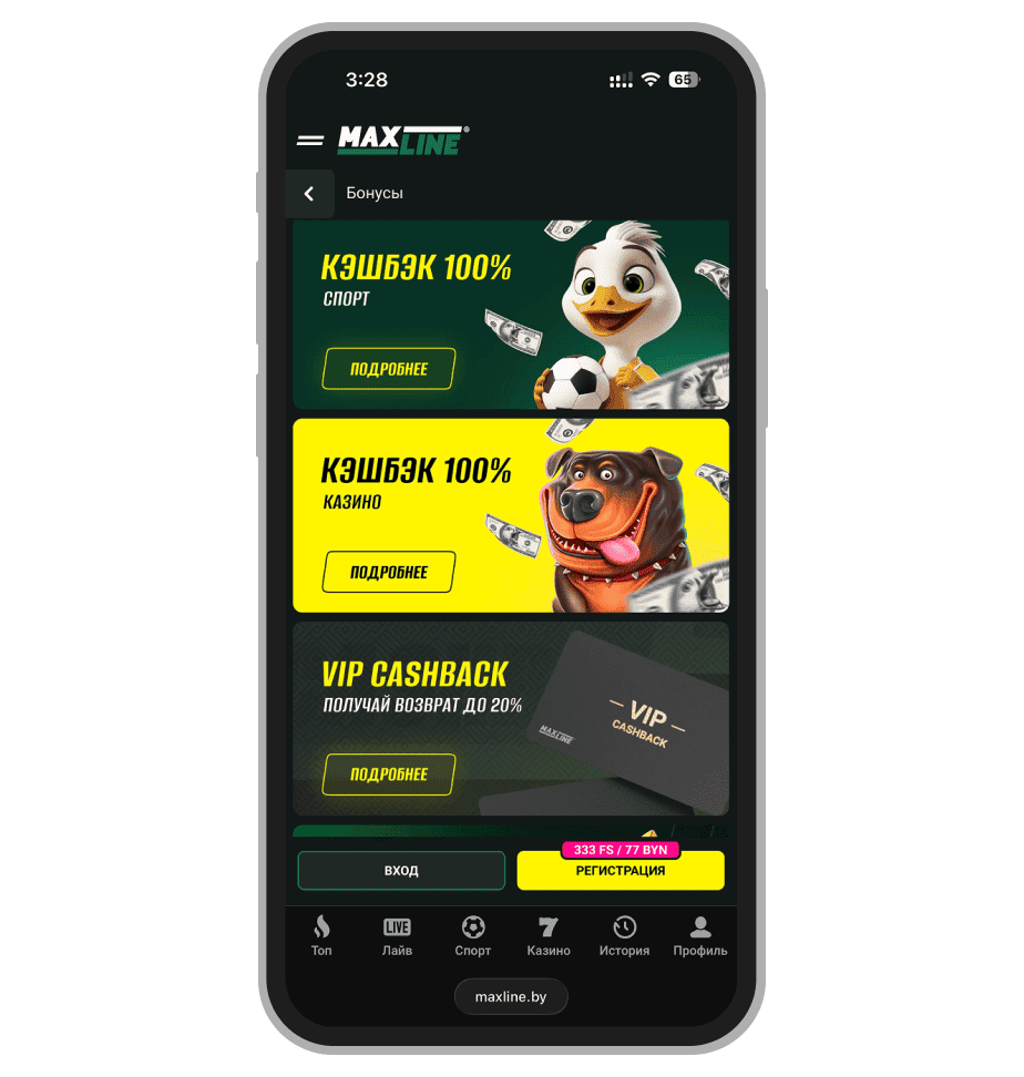 Раздел бонусов на сайте