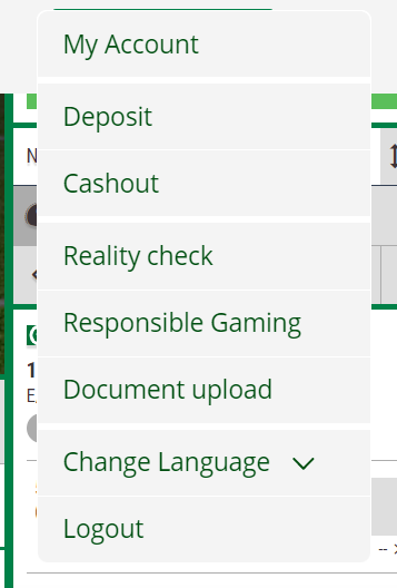 Click “Cashout” to view the withdrawal tab