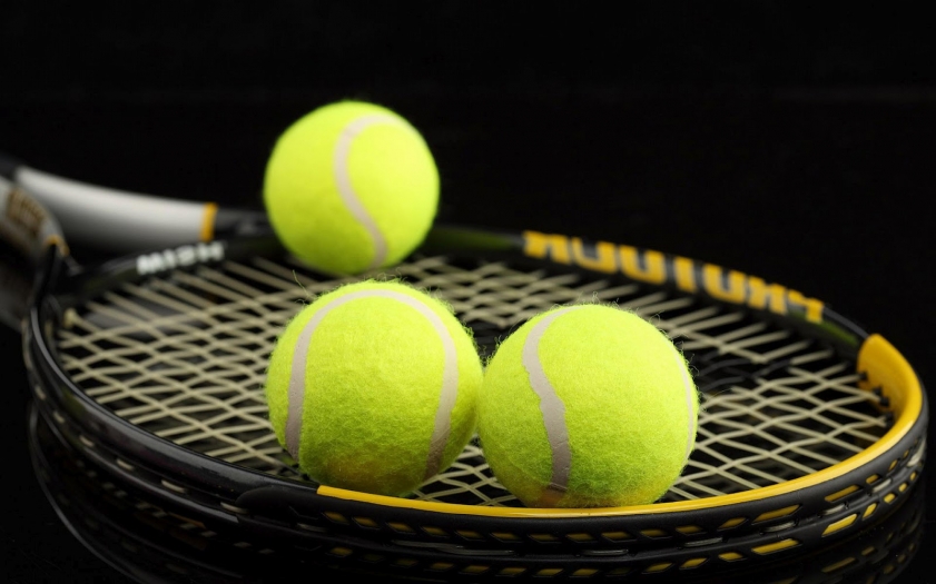 Травяные теннисные полуфиналы в Хертогенбоше: ищем ставки на андердогов