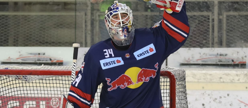 Fehervar AV19 - Salzburg: pronosticuri hochei EBEL