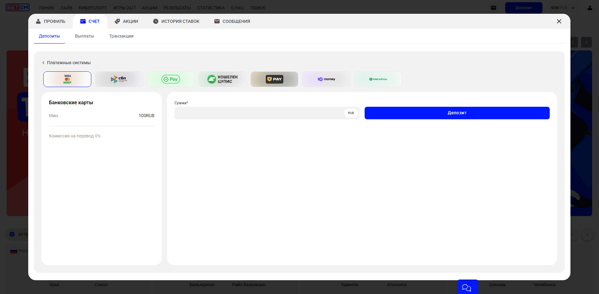 Окно выбранной платежной системы