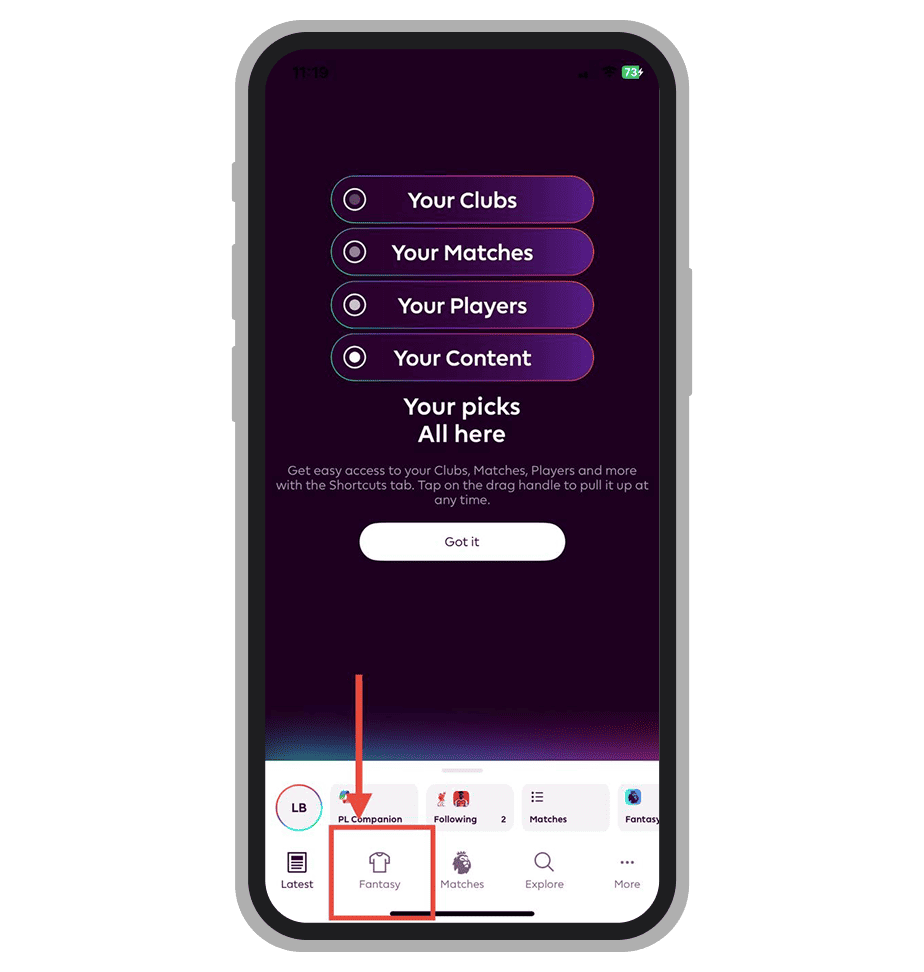 Fantazi ikonica u meniju