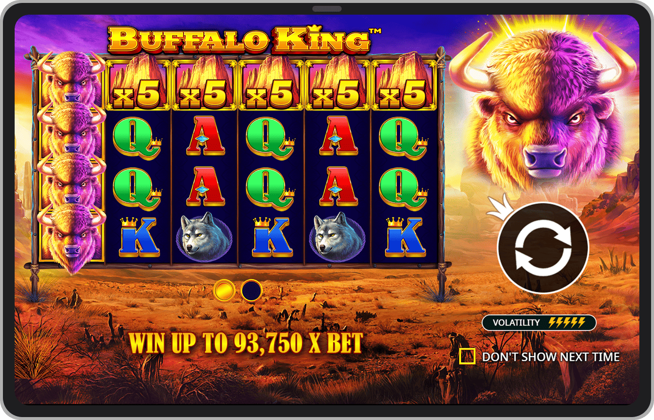 Ecran de introducere