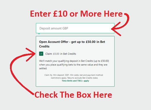 Accept the Bet365 risk free bet credits.