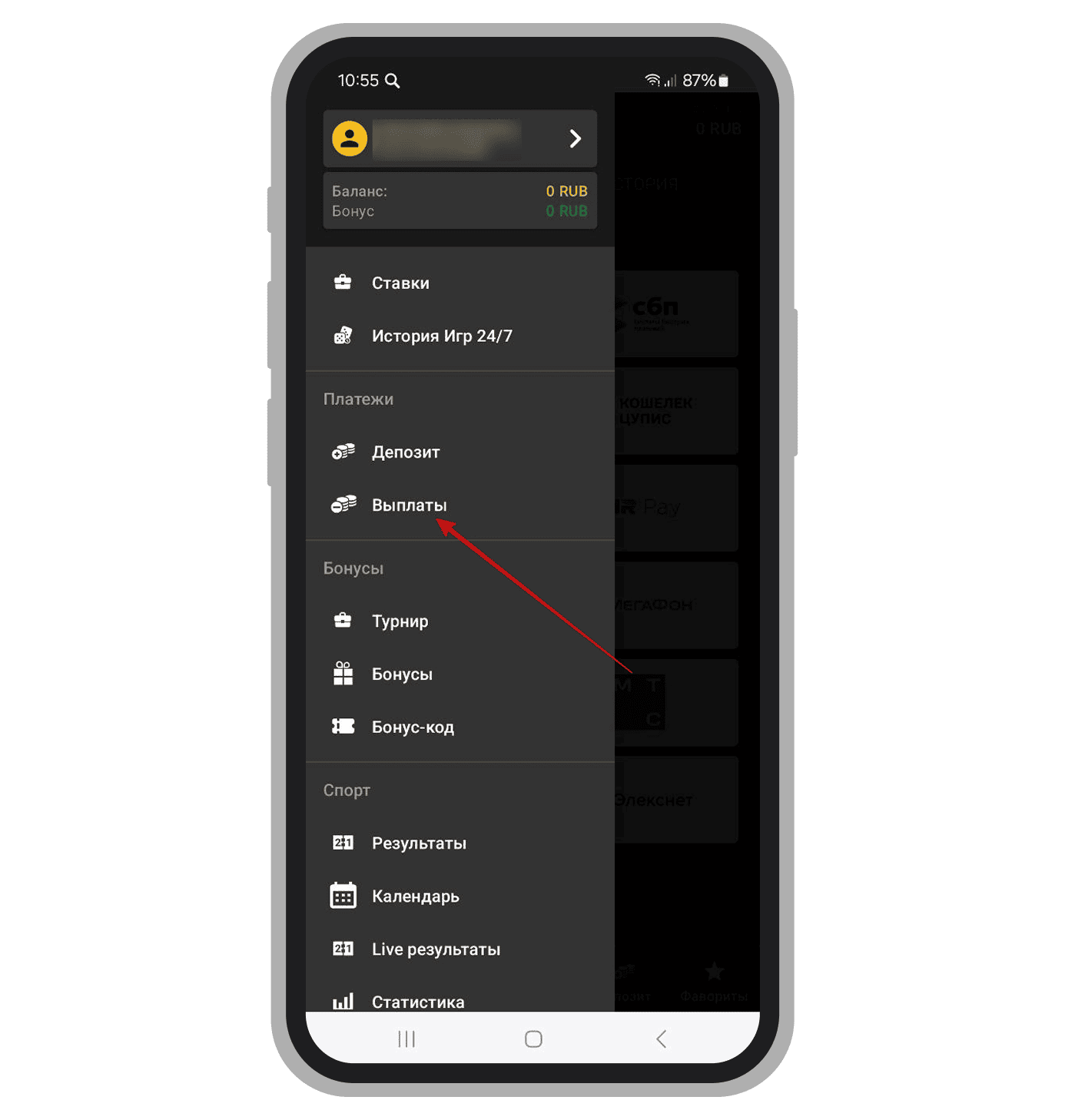 Раздел «Выплаты» 