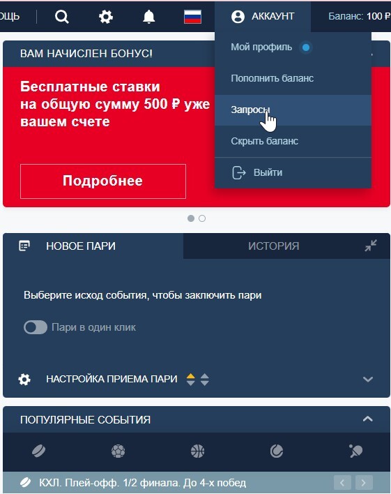 Пункт «Запросы» в интерфейсе официального сайта