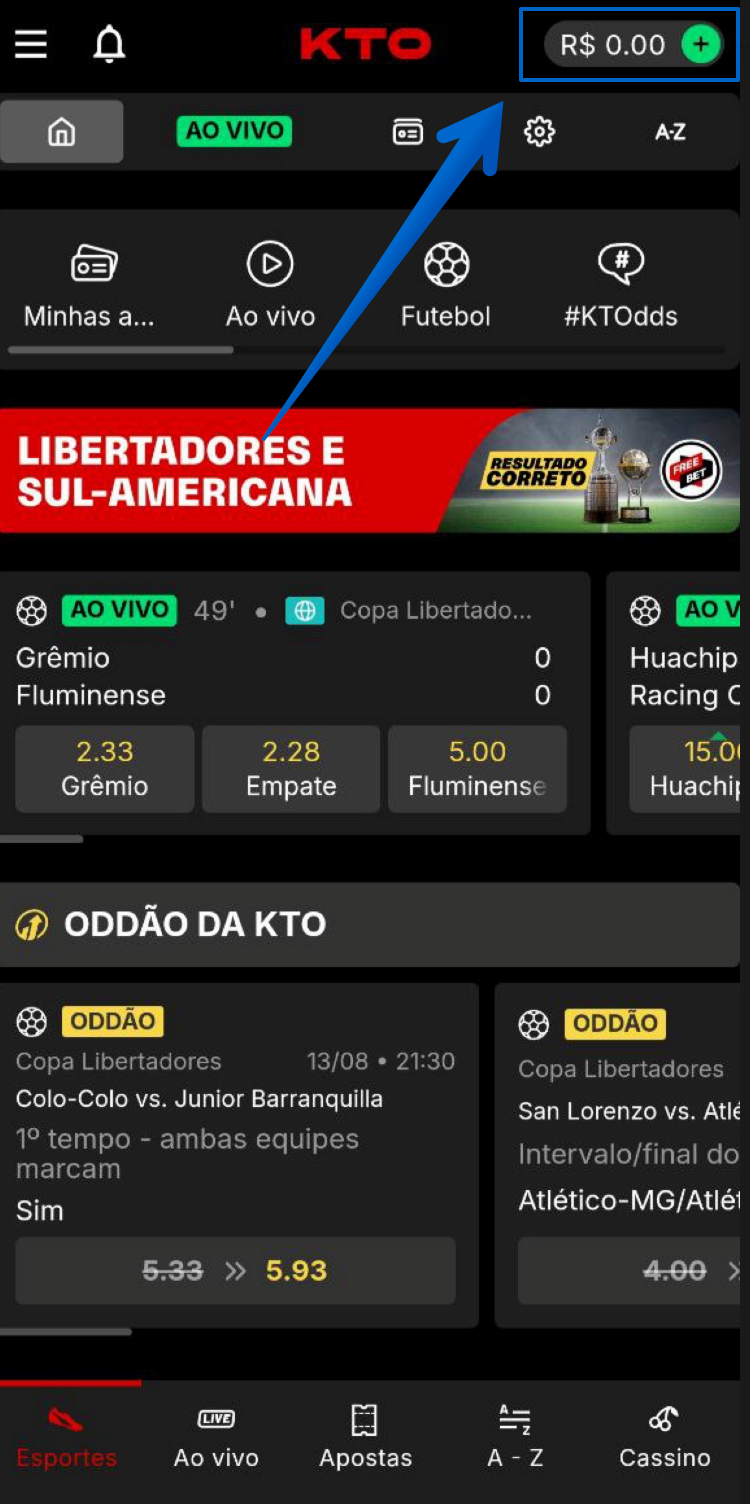 Ao efetuar login acesse a seção de pagamentos