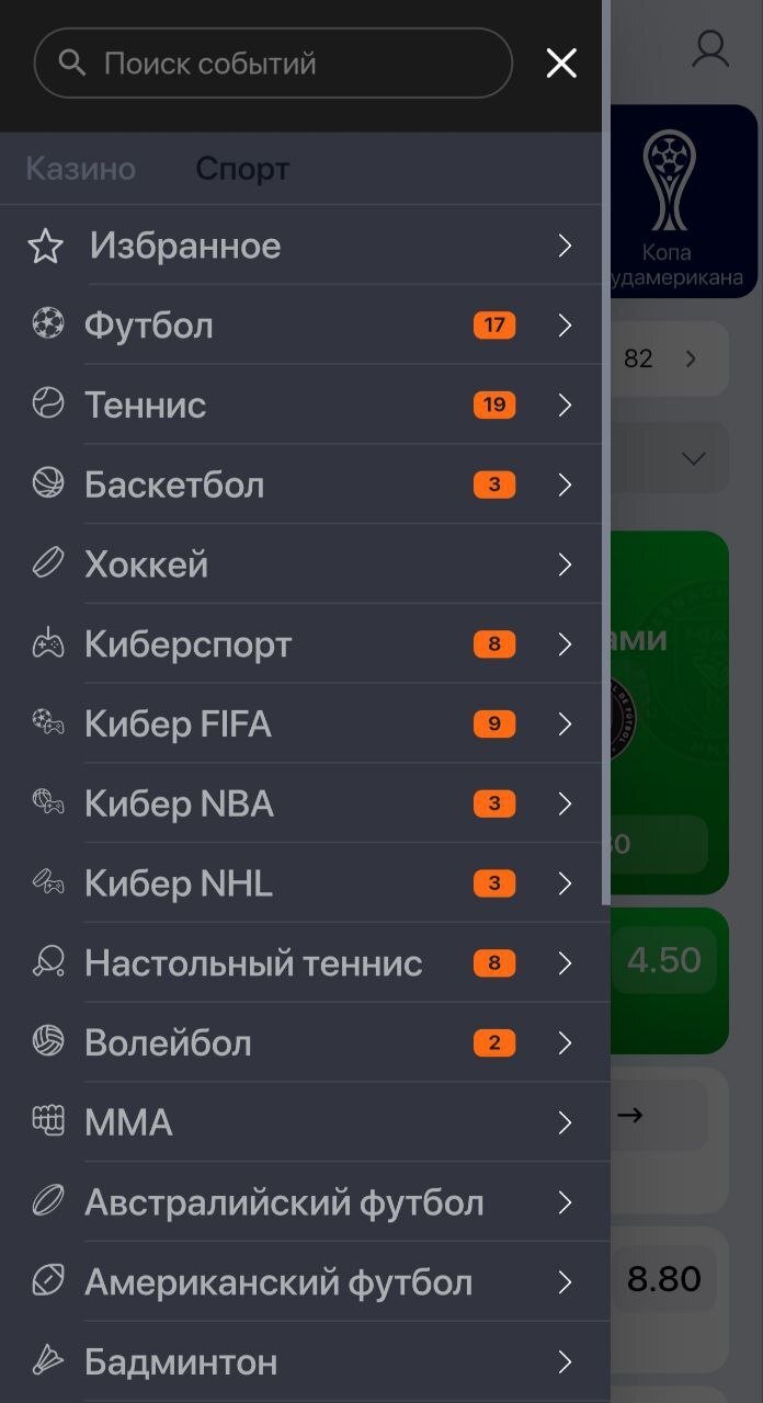 Выпадающее меню в мобильной версии Вин лайн