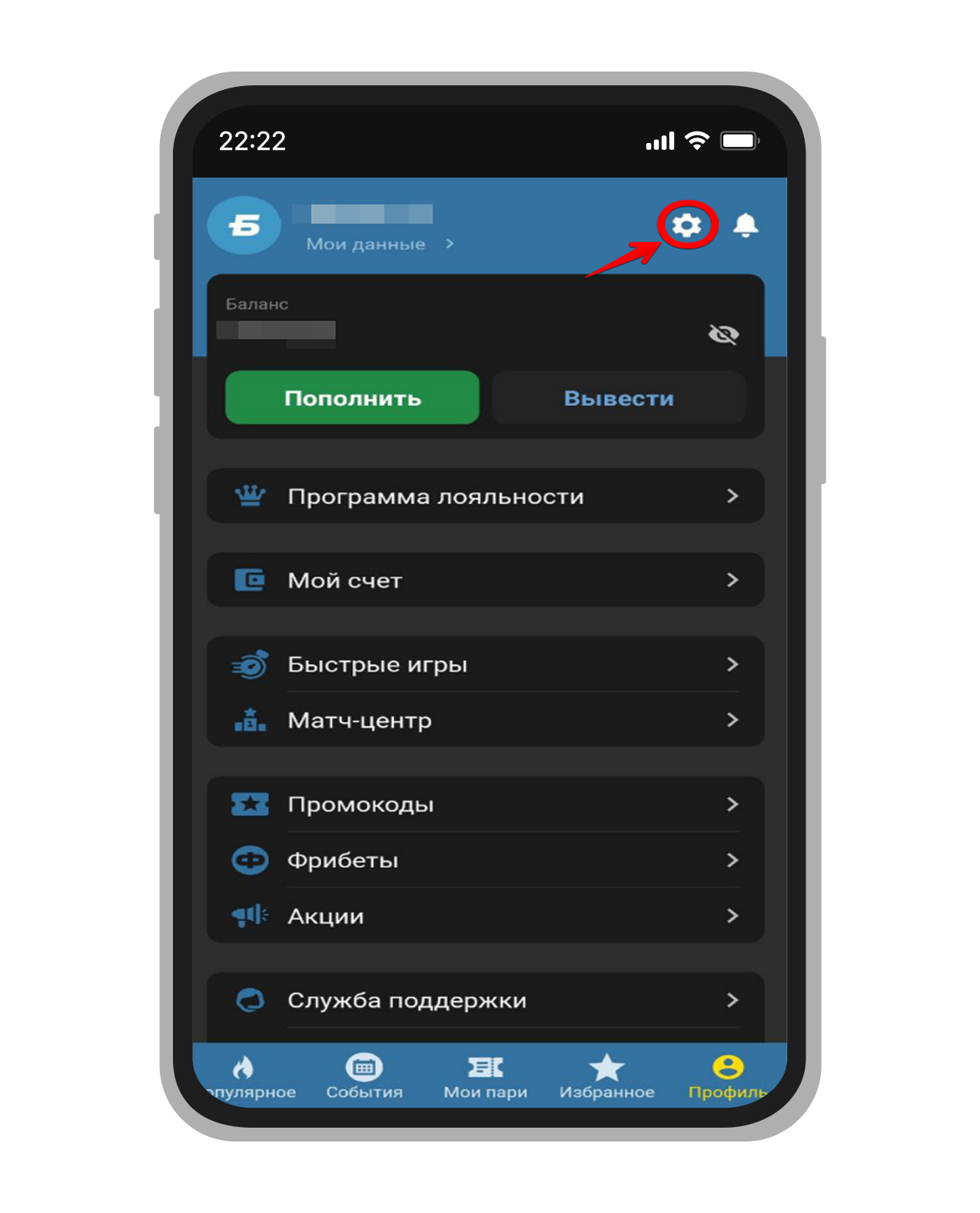 Как зайти в настройки в приложении «Бетсити»