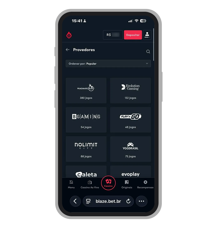 Provedores disponíveis no site Blaze