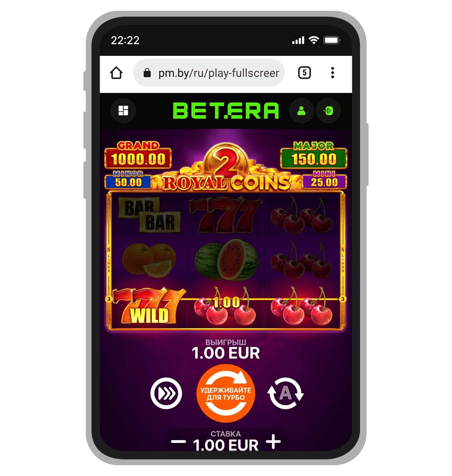 Выигрышная комбинация в Wild