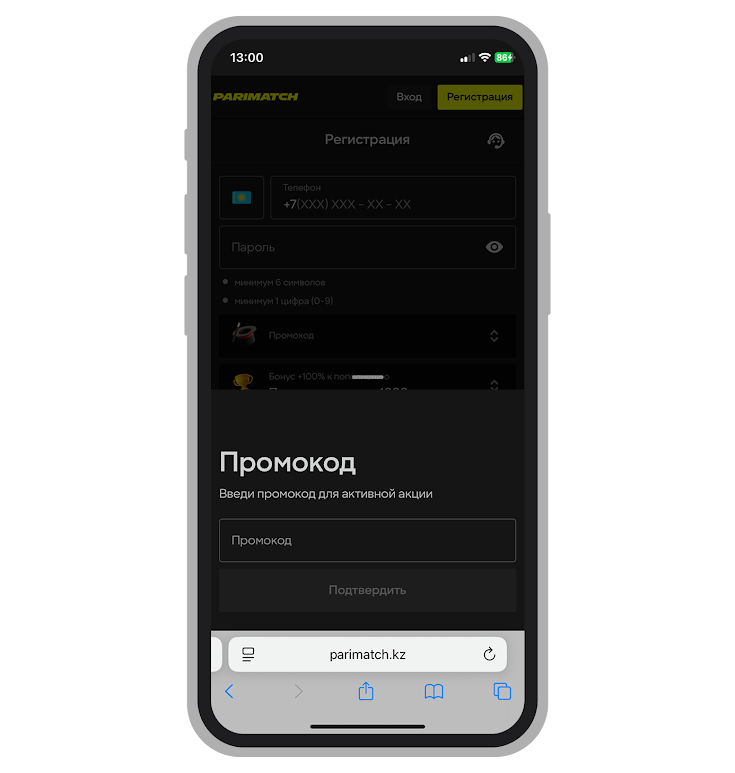 Поле для ввода промика