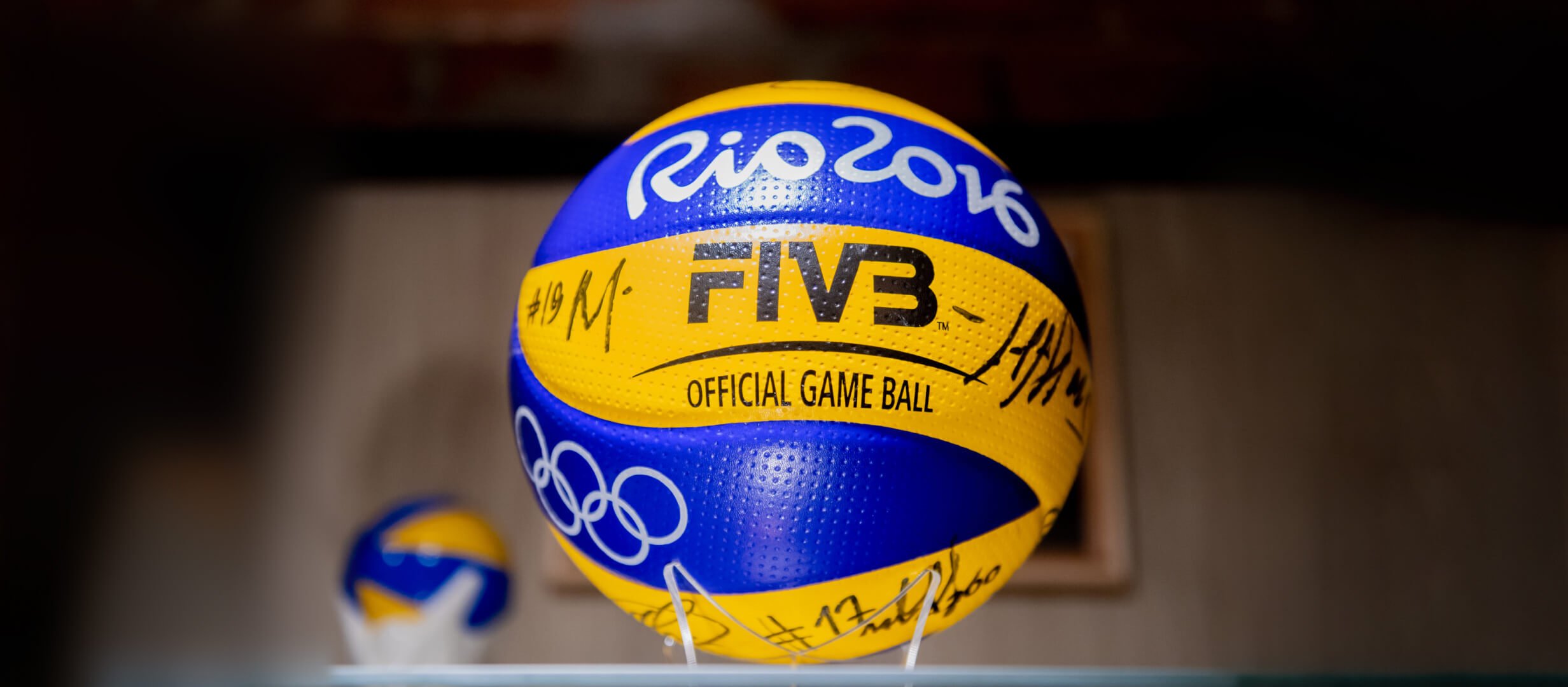 Первый мяч, удостоверение Эйнгорна, форма Тетюхина — в Санкт-Петербурге открылась выставка волейбола