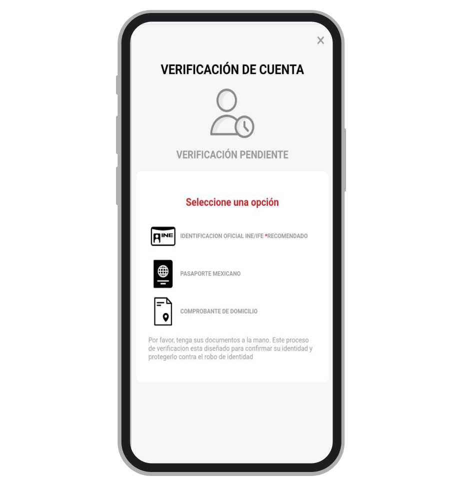 Página de verificación