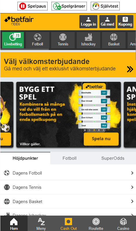Mobil webbplats