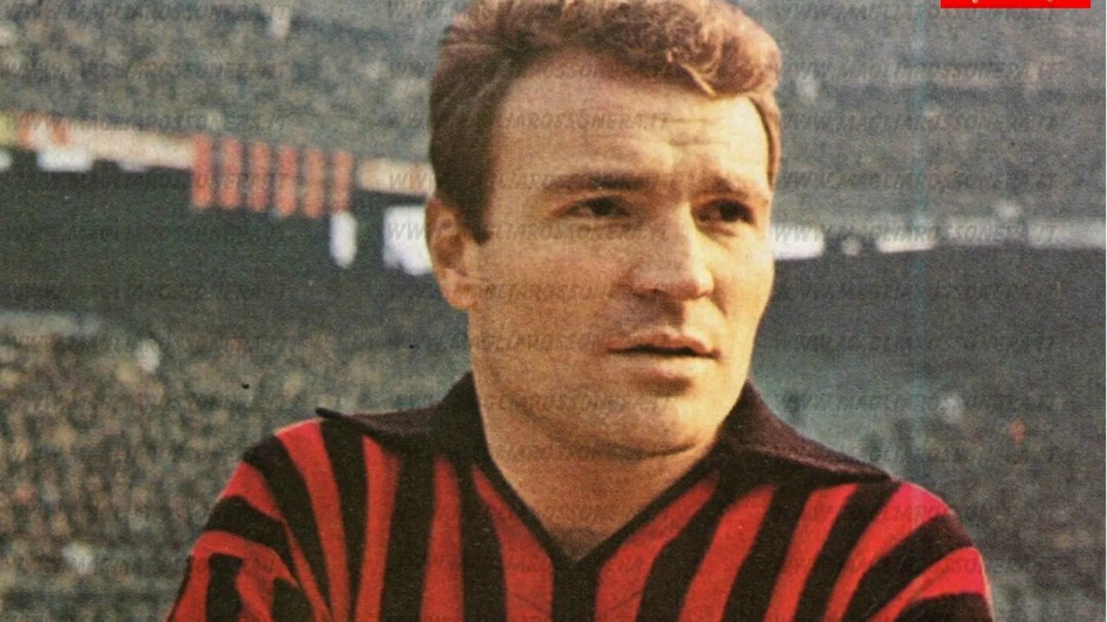 Альтафини в молодости