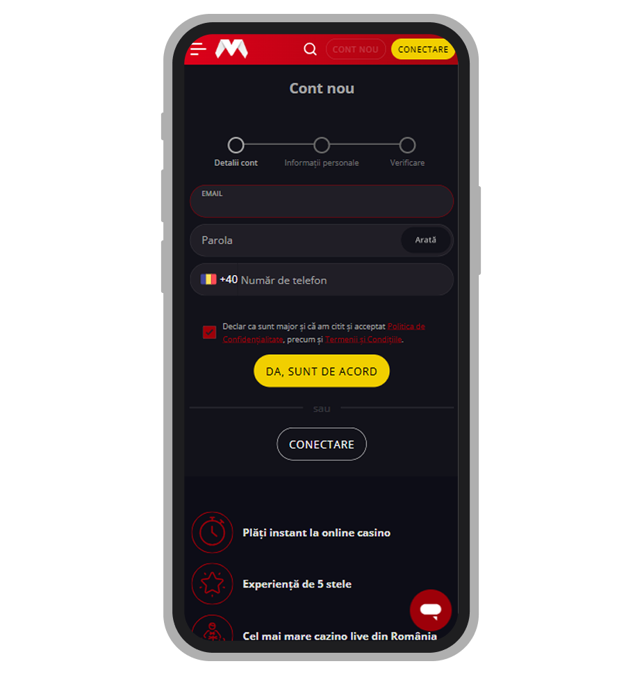 Procesul de înregistrare