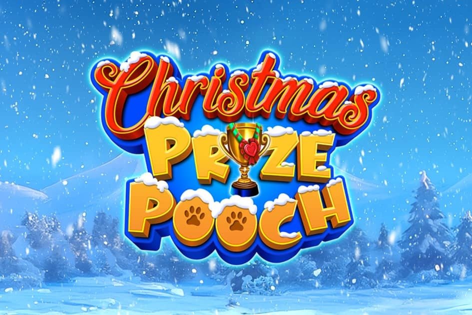 Christmas Prize Pooch