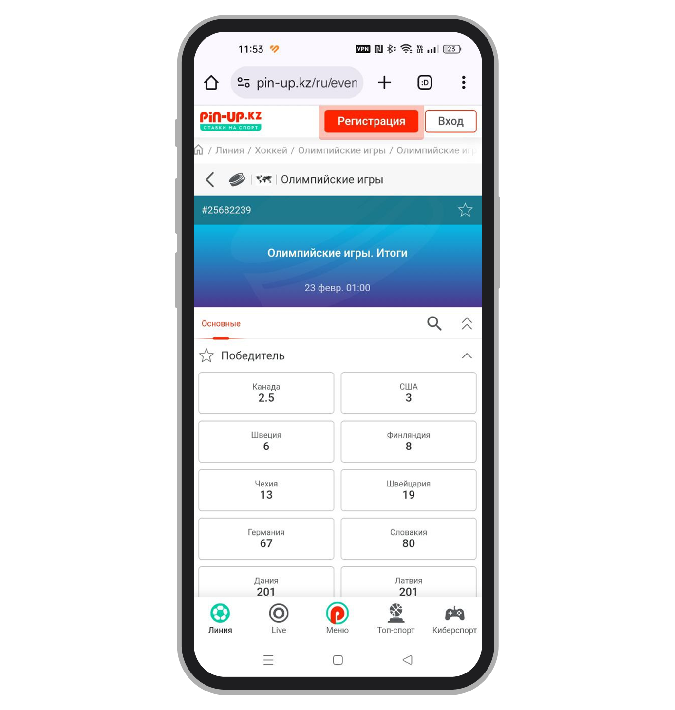 Рынок победителя хоккейного турнира в Pin-Up