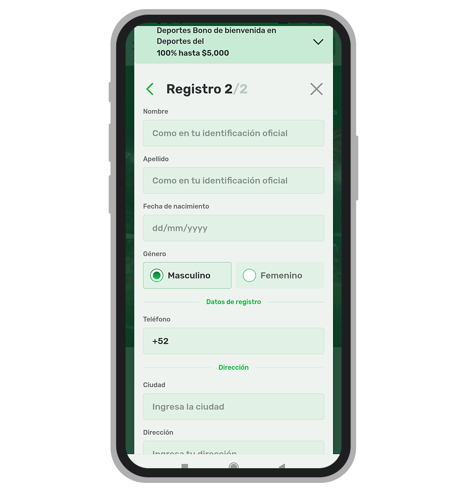 Formulario de registro, paso 2