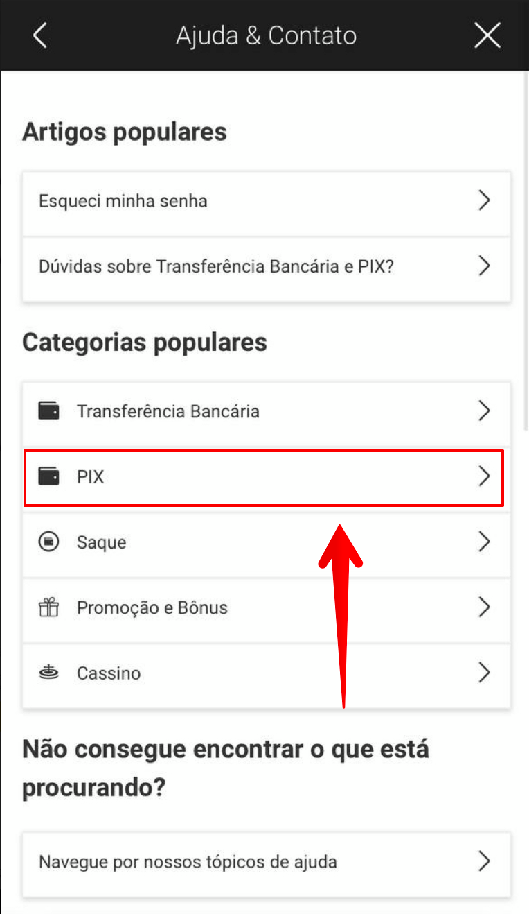 Escolha um dos temas disponíveis