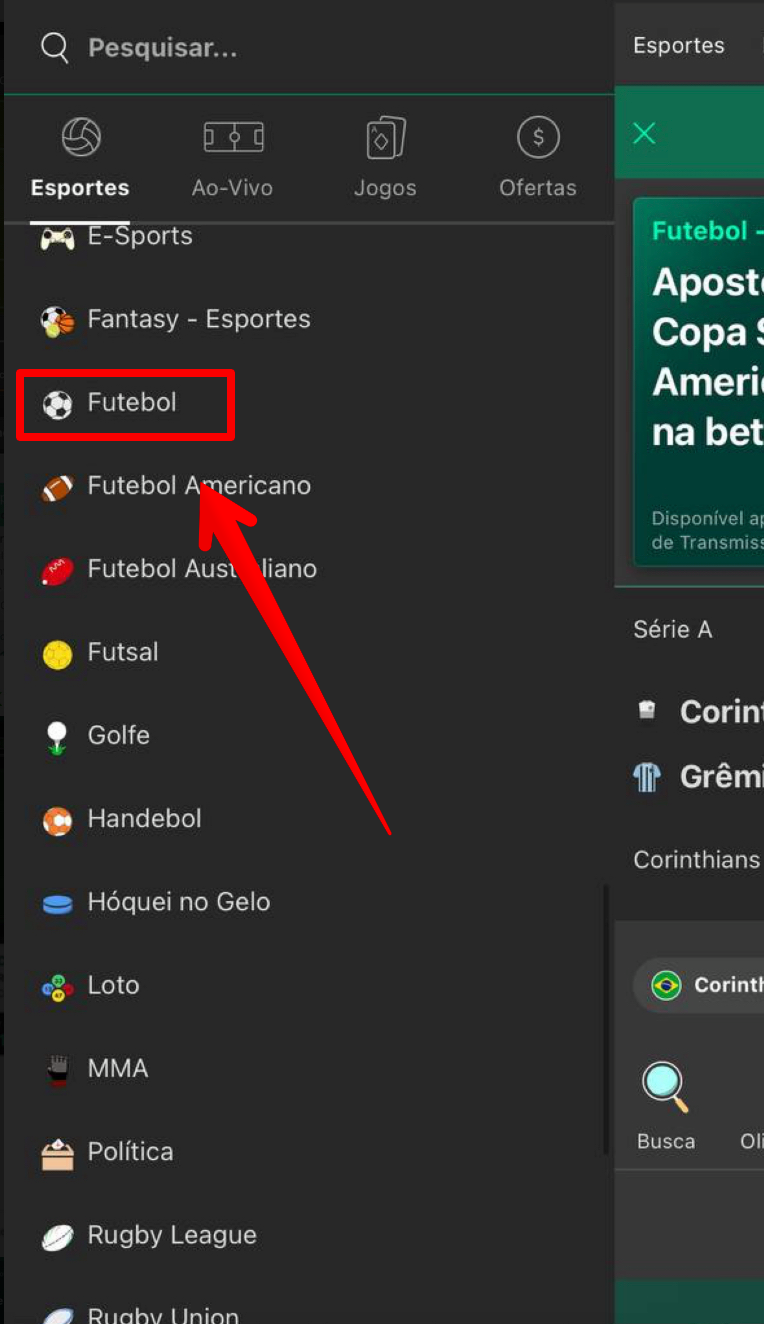 Escolha um dos Bet365 esportes