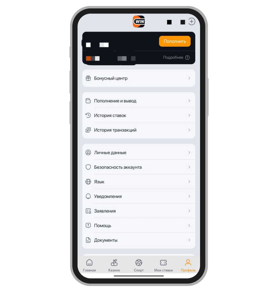 Разделы личного кабинета «Винлайн» Беларусь