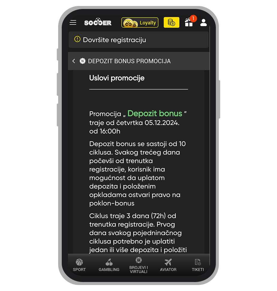 Uslovi korišćenja