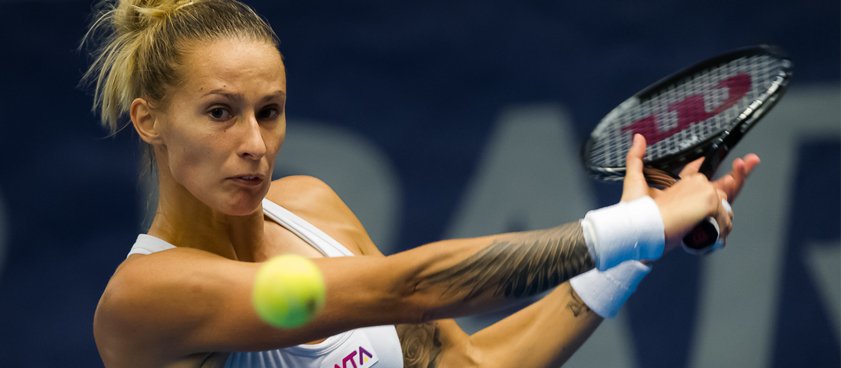 Теннис. Полона Херцог - Манди Минелла. Прогноз Павла Кириченко