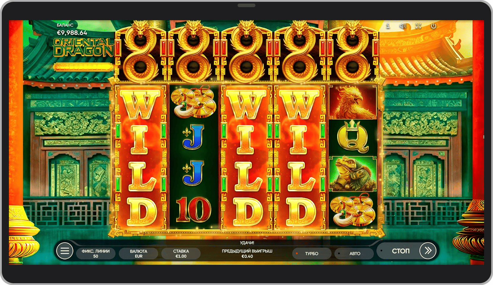 Расширяющийся вайлд