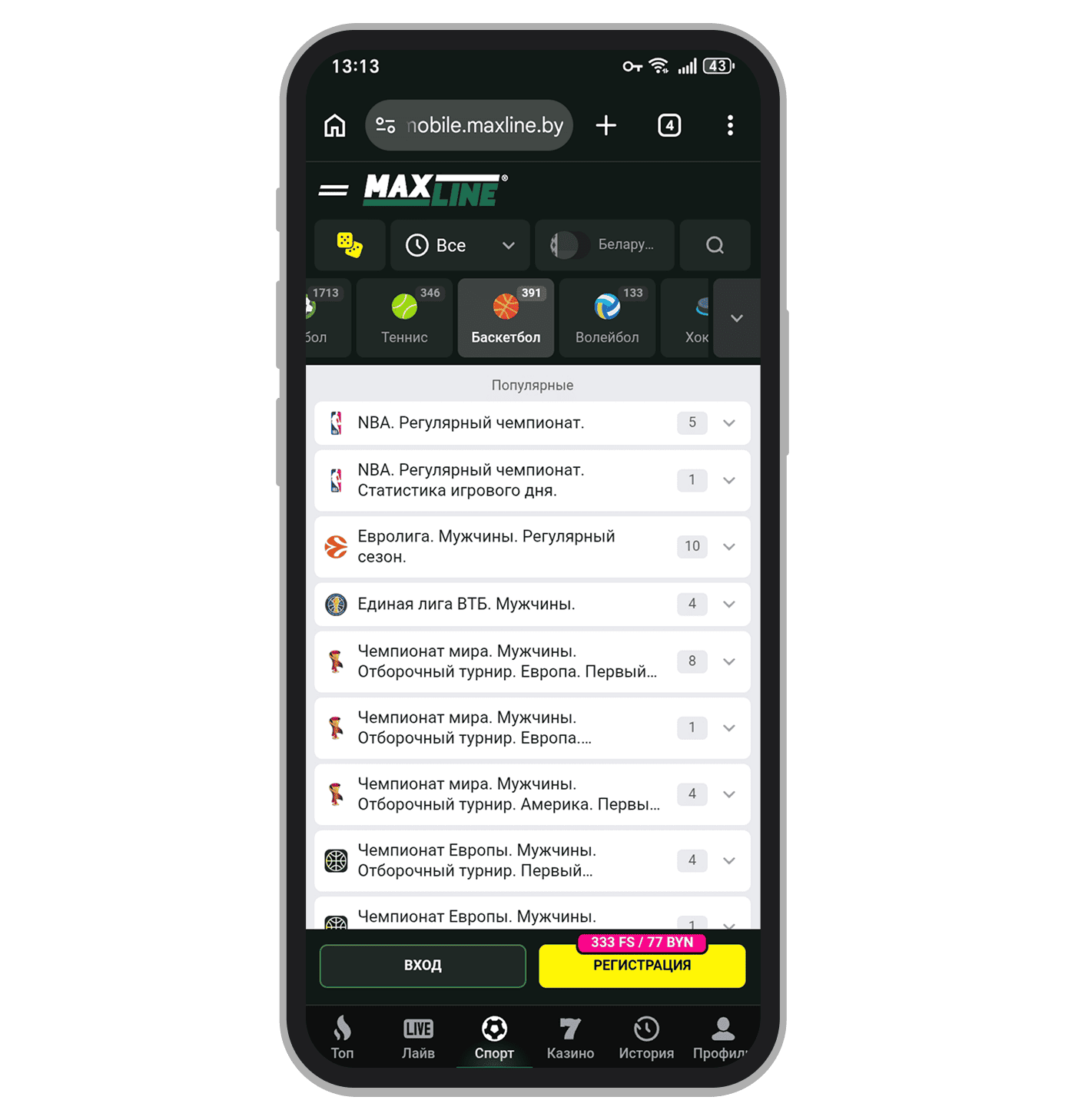 Роспись на баскетбол