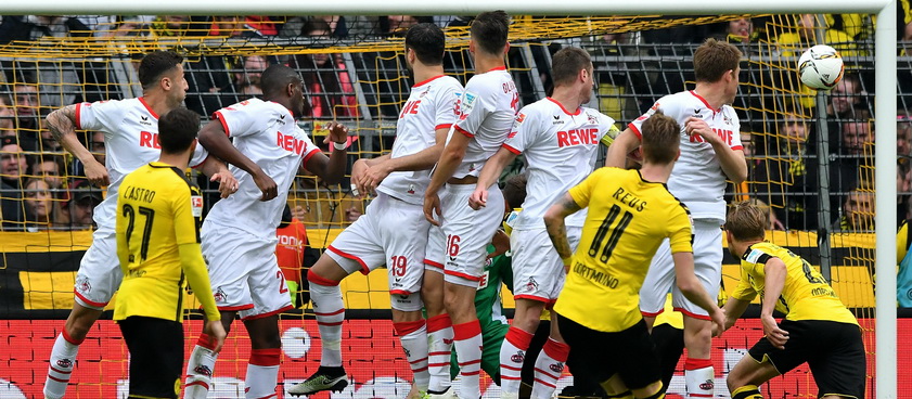 Koln - Borussia Dortmund. Ponturi Bundesliga