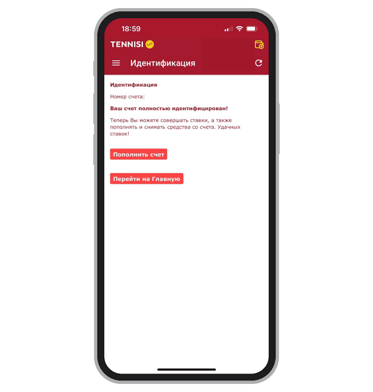 Идентификация пройдена 