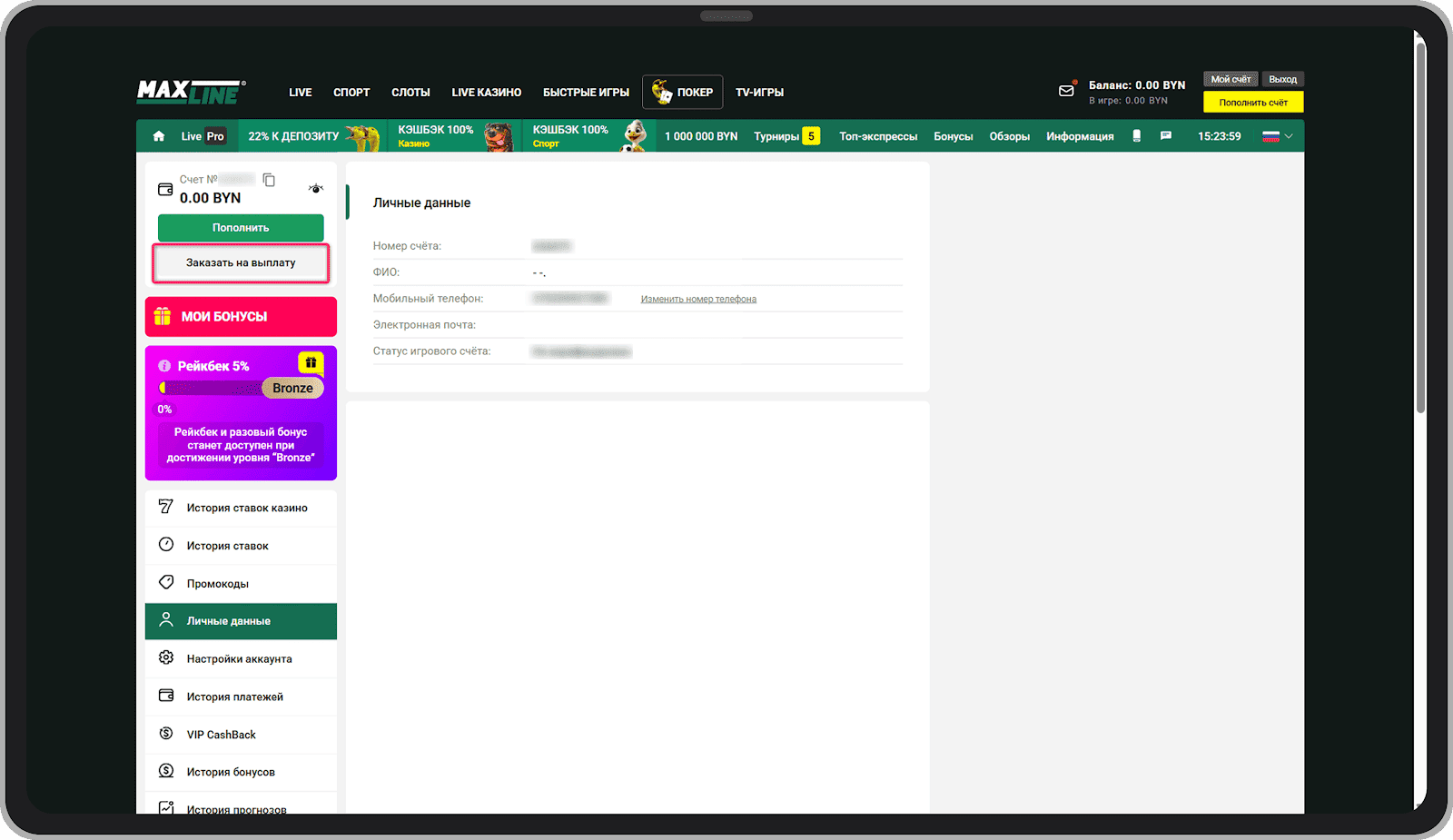Кнопка «Заказать на выплату»