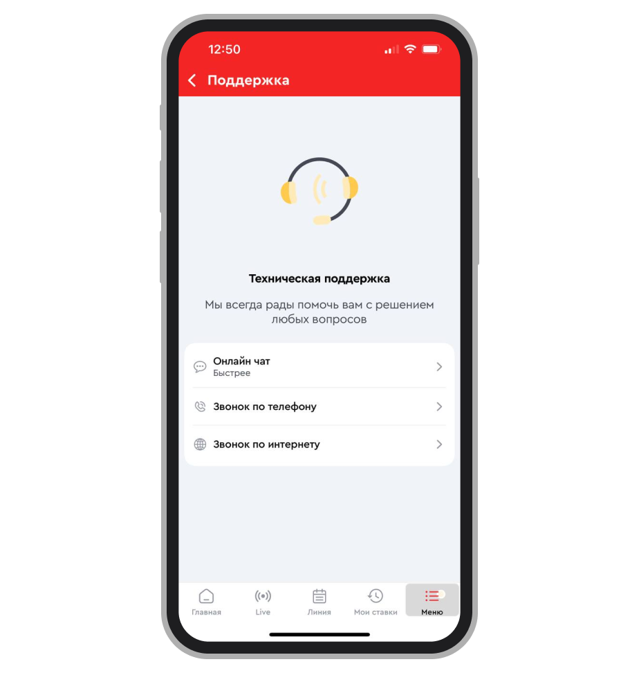 Страница технической поддержки