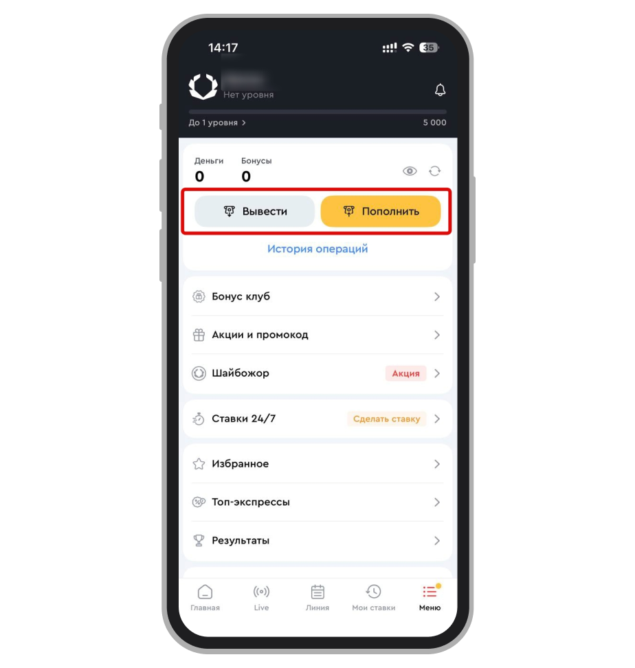 Вывод выигрыша и пополнение счёта