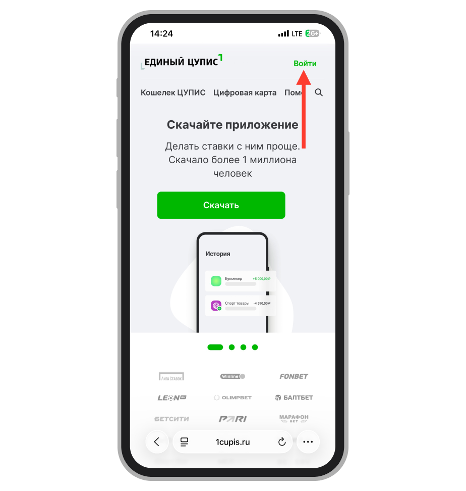 Кнопка «Войти» на сайте ЦУПИС